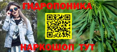 гидра Славгород