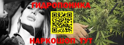 гидра Славгород