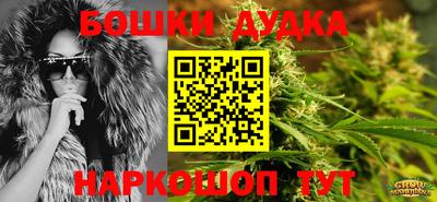 гидра Славгород