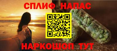 гидра Славгород