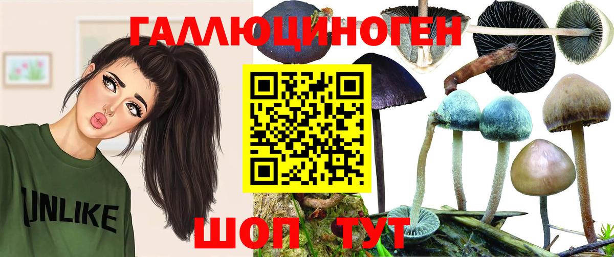 Псилоцибиновые грибы мицелий  Вход с VPN  Тихорецк  где найти   Галлюциногенные грибы мухоморы 